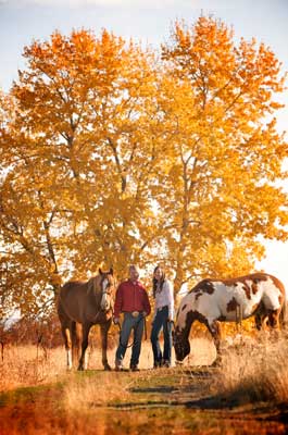Horses in the fall